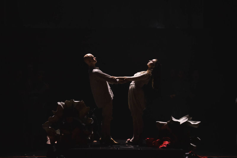 Tamino in Die Zauberflöte, Pamina — Elene Gvritishvili. Photo by Andrey Chuntomov